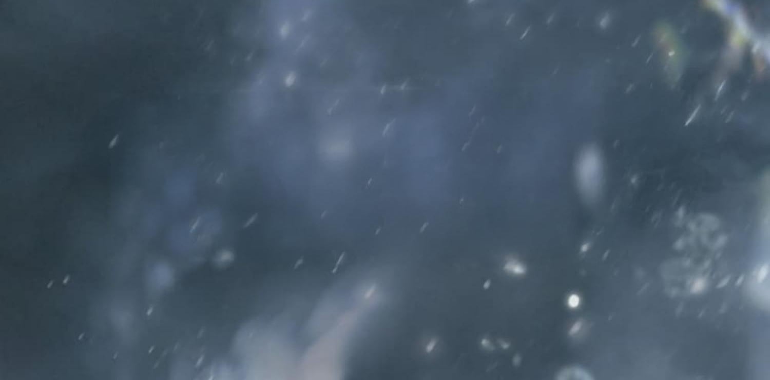 The Hunter Wants To Live Quietly Characters www.doujin-y.com