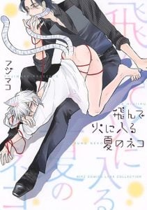 แมลงเม่ากับเปลวไฟ [Fujimako] Tonde Hi ni Iru Natsu no Neko