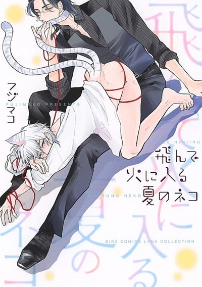 แมลงเม่ากับเปลวไฟ [Fujimako] Tonde Hi ni Iru Natsu no Neko