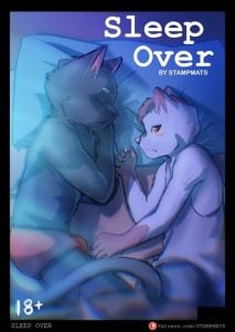 สัญญาจะแค่นอนจับมือ [StampmatS] Sleep Over