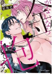 มากับฉัน ถ้าคุณไม่มีเงิน [Nitako] Kane ga nai nara Daite Miro