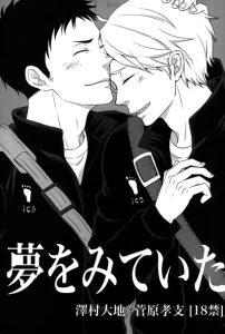 ในฝันคืนนั้นมีแค่นาย [Lo5type (Aizawa)] Yume o Mite Ita (Haikyuu!!)
